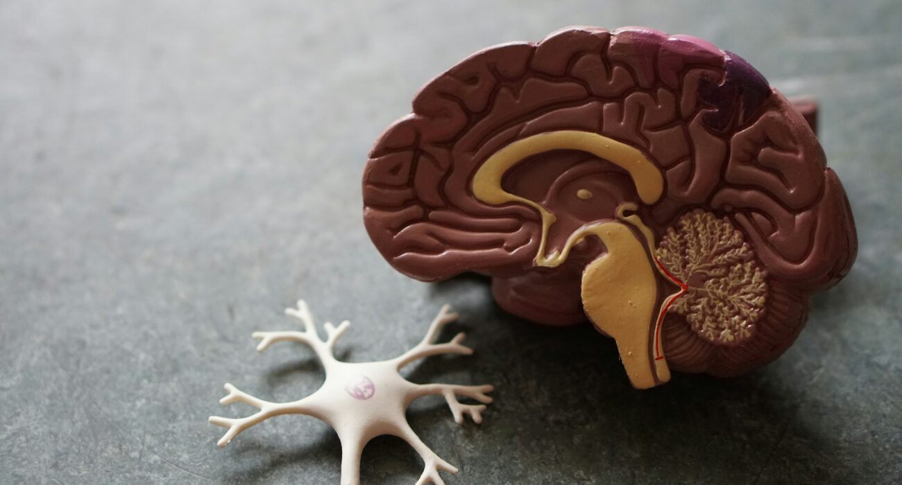 Best In-Home Dementia Care in Lucknow