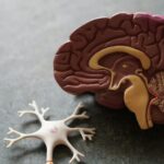 Best In-Home Dementia Care in Lucknow